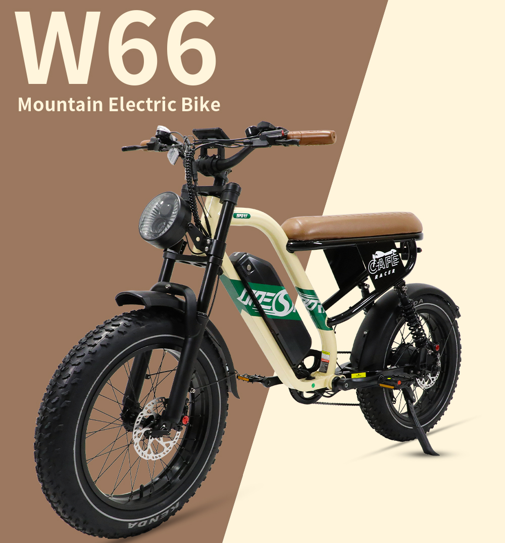 STLF Customizable Retro Electr – Mountain Biking Uk Bewertung und Preis