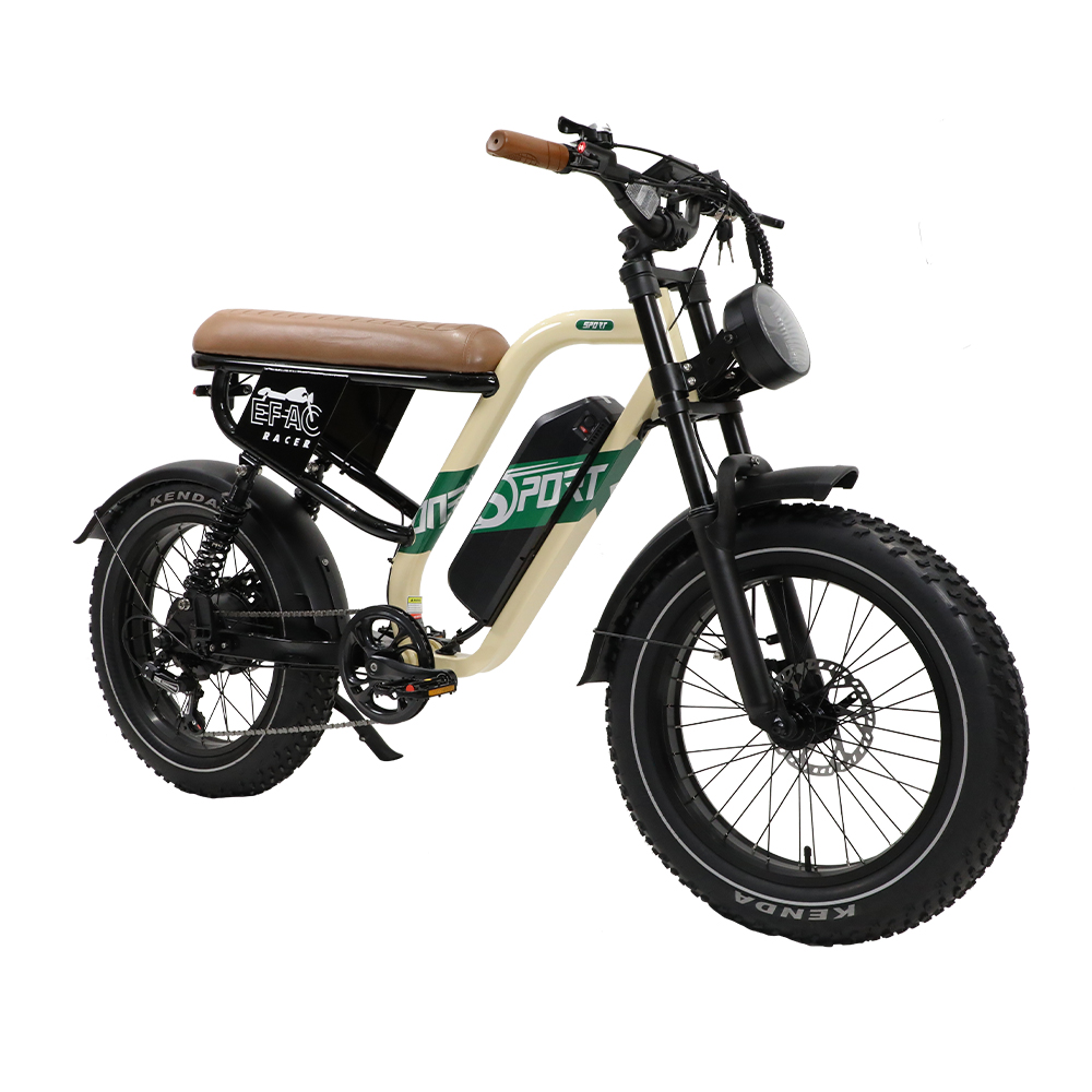 STLF Customizable Retro Electr – Mountain Biking Uk Bewertung und Preis