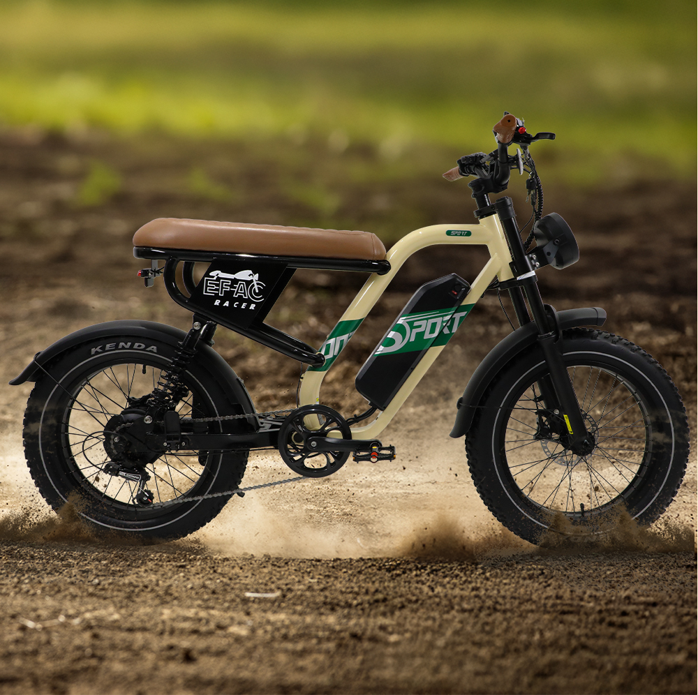 STLF Customizable Retro Electr – Mountain Biking Uk Bewertung und Preis