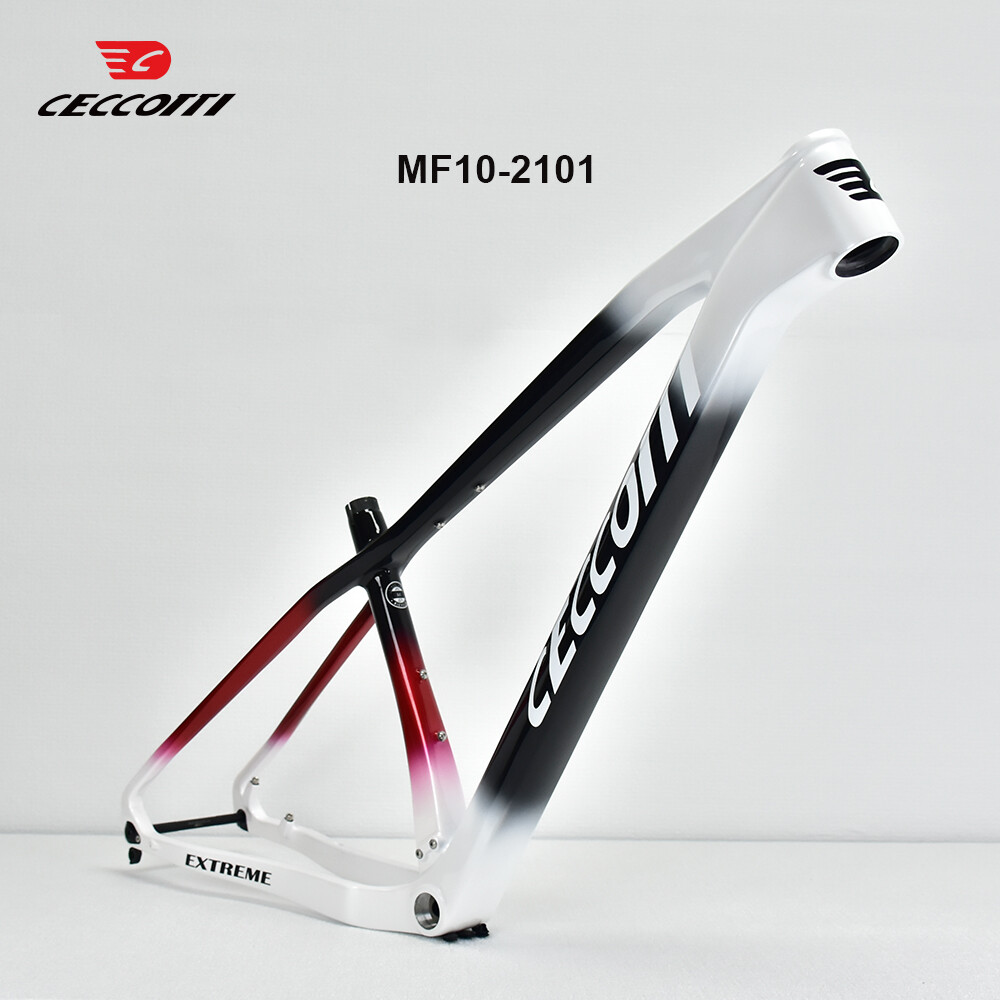 CECCOTTI 29er MTB Frame BSA 14 – Mountain Biking Uk Bewertung und Preis