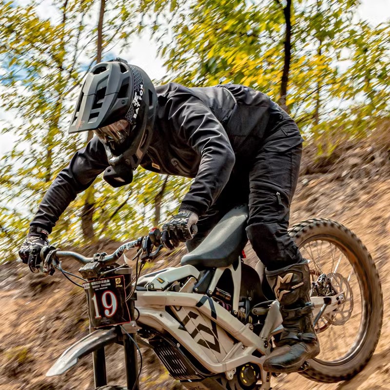 BATFOX Full Face Adult Dirt Bi – Mountain Biking Full Face Helmet Bewertung und Preis